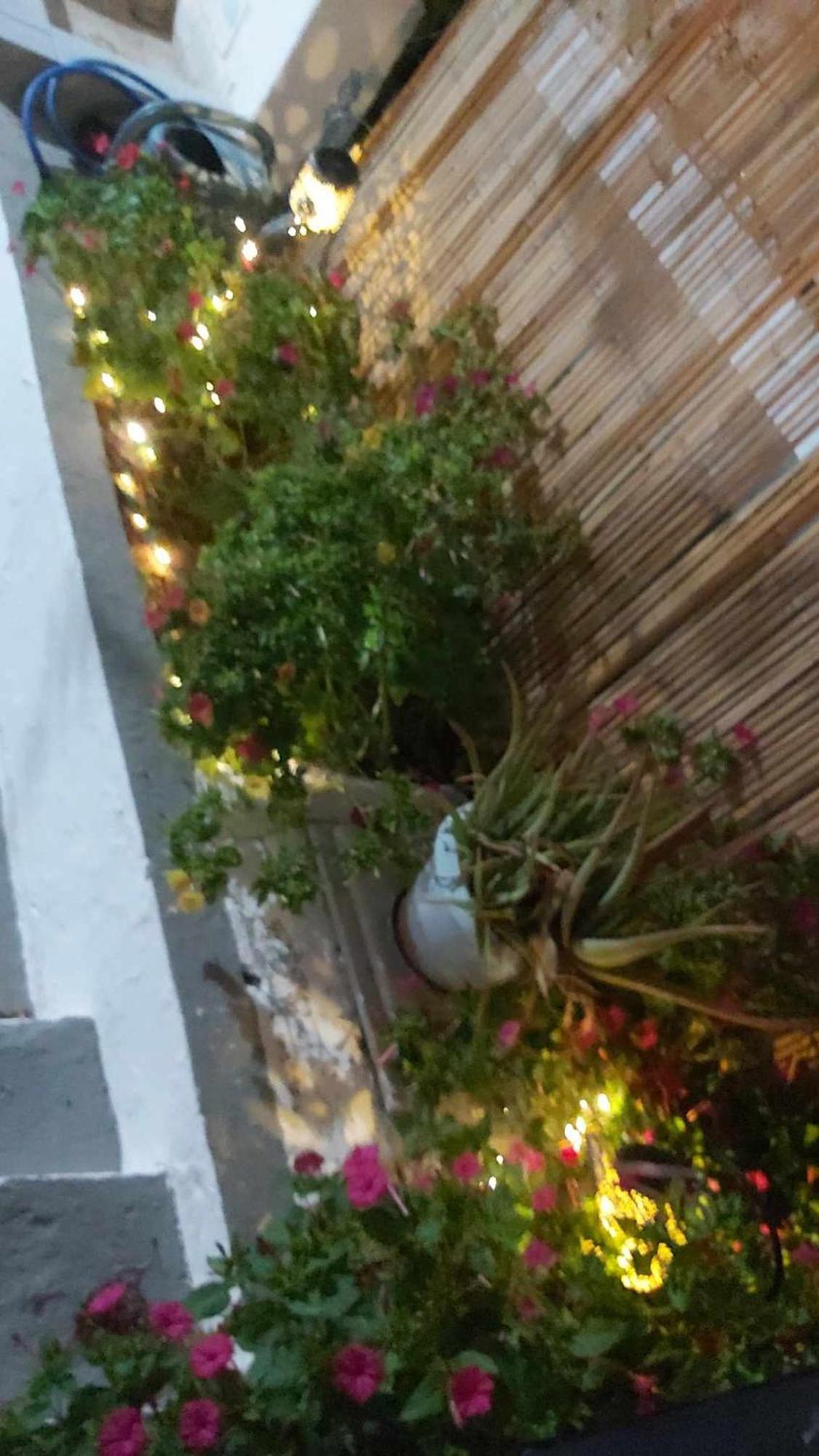 Kostas Studios Apartments - Ενοικιαζόμενα Δωμάτια Με Κουζινάκι Mírina Kültér fotó