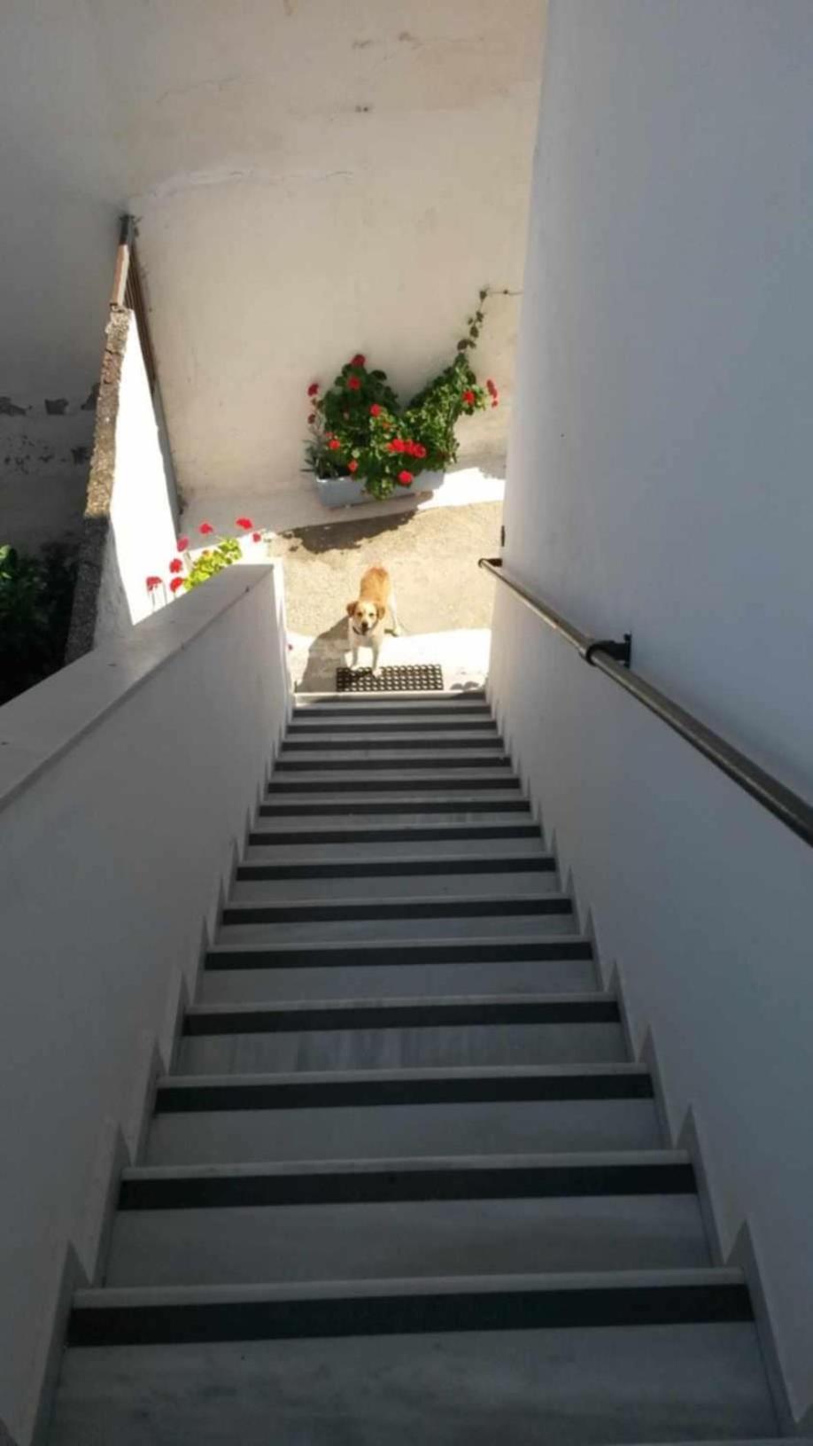 Kostas Studios Apartments - Ενοικιαζόμενα Δωμάτια Με Κουζινάκι Mírina Kültér fotó
